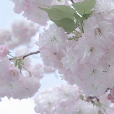 Furry绘画原创技巧兽圈群